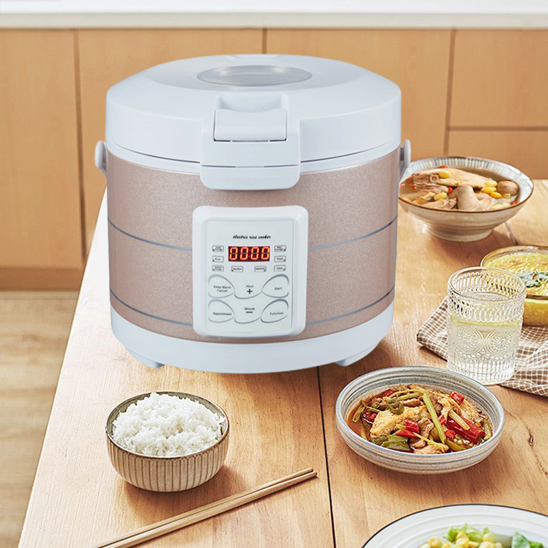 12-24V 220V Reiskocher Suppen- – Home Cooking Heater Bewertung und Preis